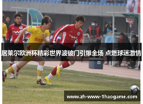 居莱尔欧洲杯精彩世界波破门引爆全场 点燃球迷激情